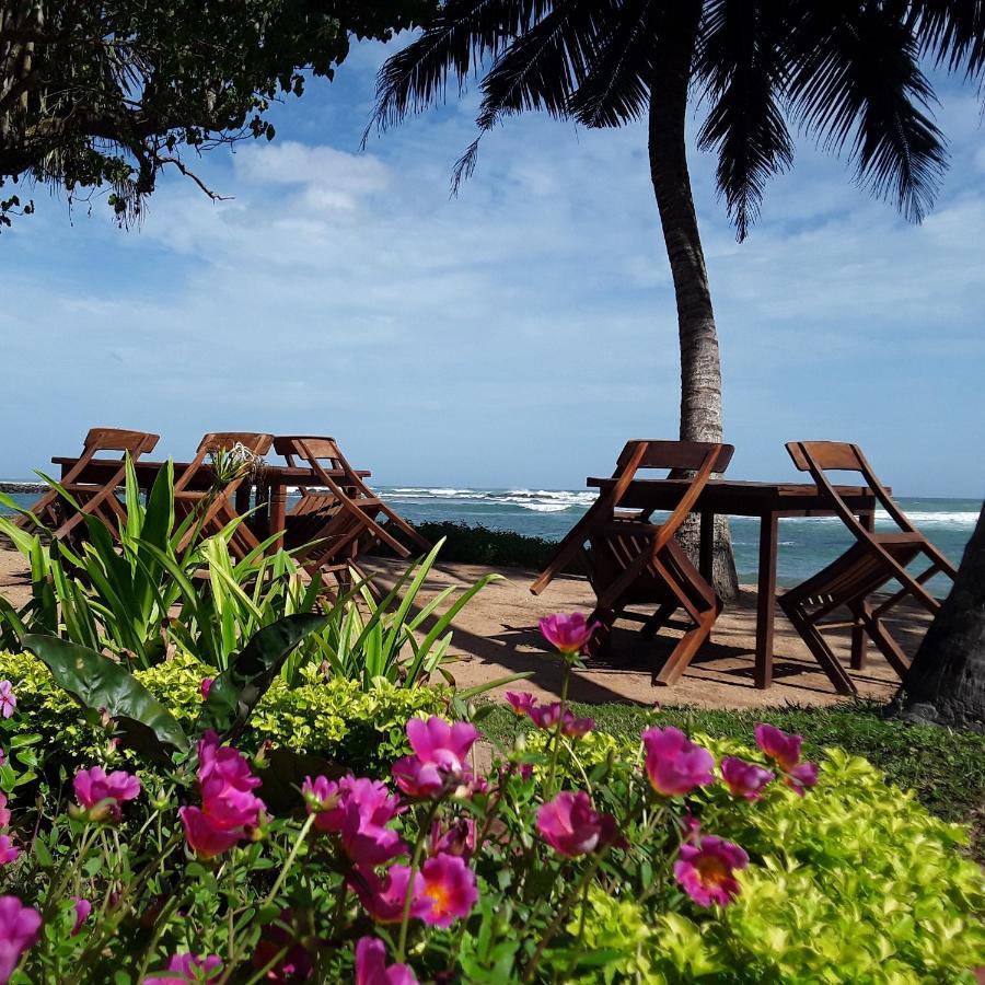 Palm Villa Mirissa Hotel&Spa Zewnętrze zdjęcie